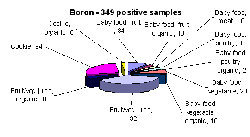 Breakdown of positive samples found by metal and food categories - boron