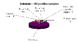 Breakdown of positive samples found by metal and food categories - selenium