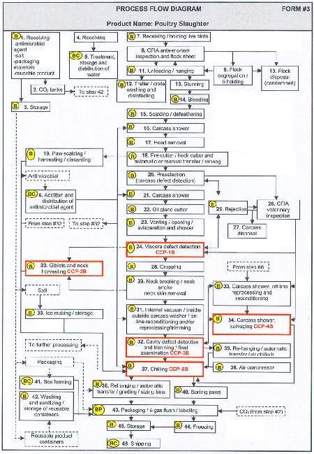Form 3: Process Flow Diagram