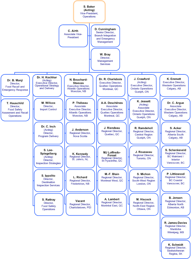 Flowchart - Senior Management Structure. Explanation of the chart is below