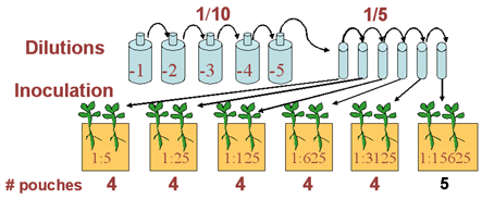 This diagram shows the Most Probable Number Dilutions - Dilution 1/10 & 1/5, Inoculation, Number of pouches