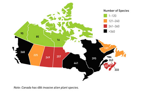Figure 1. Numbers of invasive plant species by province and territory.