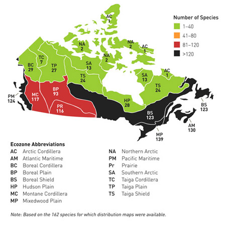 Figure 1. Numbers of invasive plant species by province and territory.