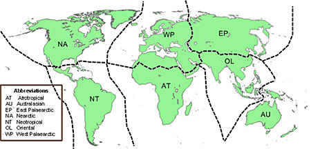 Figure 3. Areas of origin of alien plant species introduced into Canada, based on Udvardy (1975), Olson and Dinerstein (2002), and Morse (2006).