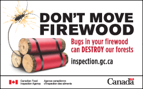 don't move firewood, bugs in your firewood can destroy our forests