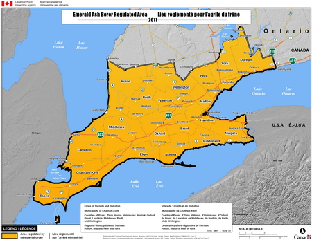 Map - Southern Ontario