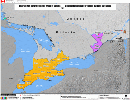 Map - Current areas regulated for Emerald Ash Borer by Ministerial Orders