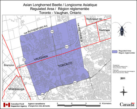 Map of Asian long-horned beetle, regulated area