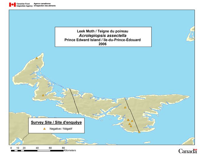 This map shows the Acrolepiopsis assectella survey sites in Prince Edward Island in 2006.