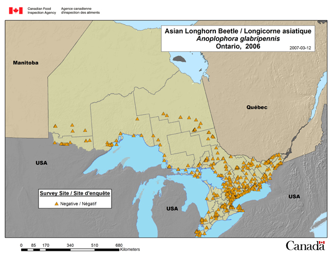 This map shows the Asian Longhorned Beetle survey results for the province of Ontario for years 2006.