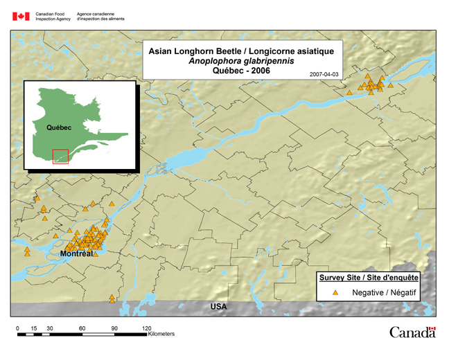 This map shows the Asian Longhorned Beetle survey results for the province of Quebec for years 2006.
