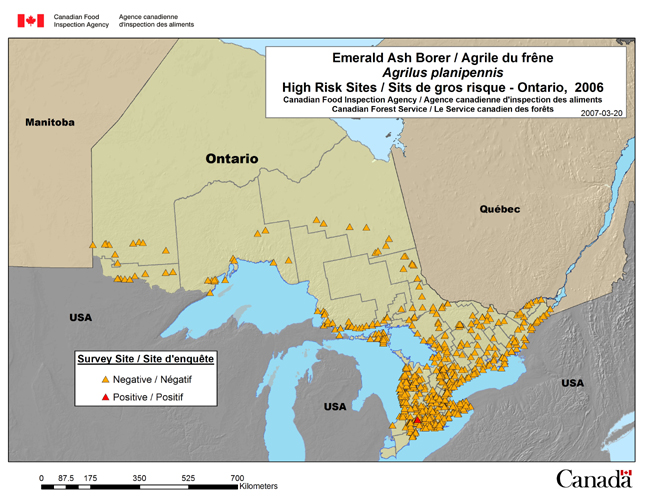 This map shows the 2006 survey results for the Emerald Ash Borer high risk sites for the province of Ontario.