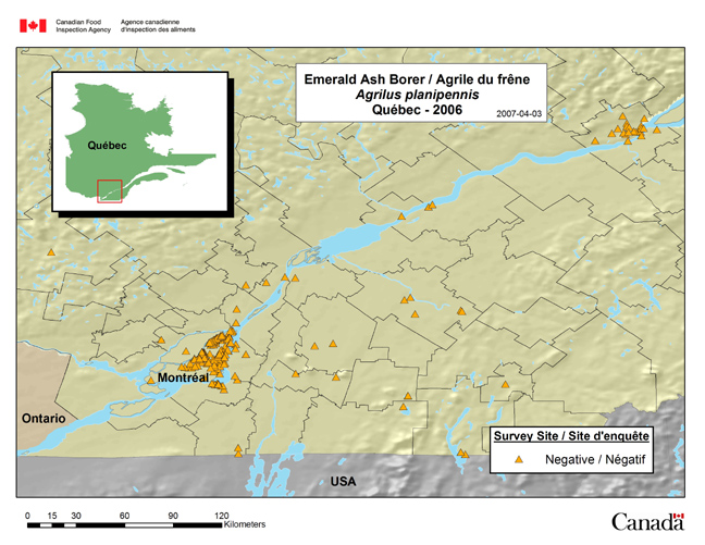 This map shows the Emerald Ash Borer survey results for the province of Quebec in 2006.