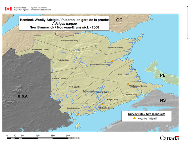 This map shows the national Adelges tsugae survey sites in New Brunswick in 2006.