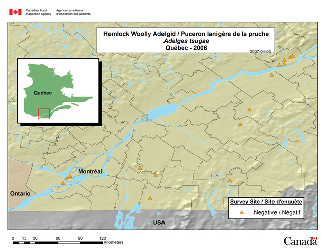 This map shows the national Adelges tsugae survey sites in Quebec in 2006.
