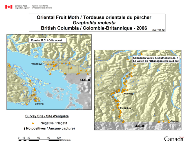 This map shows the Oriental Fruit Moth survey sites for British Columbia in 2006.
