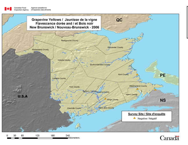 This map shows the Grapevine Phytoplasma survey sites in New Brunswick in 2006.