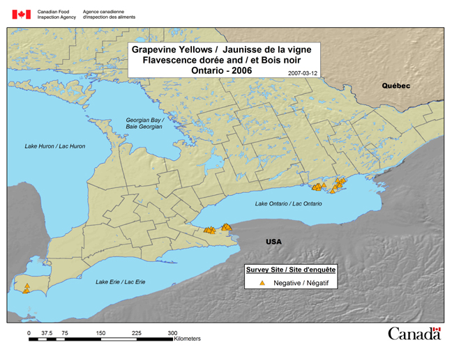 This map shows the Flavescence dorée and Bois noir survey sites in Ontario in 2006.
