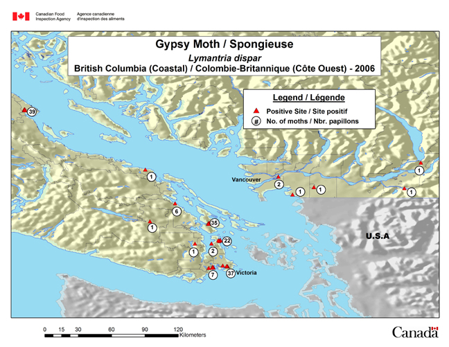 This map represents the gypsy moth positive survey sites in the southern coastal region of British Columbia in 2006.