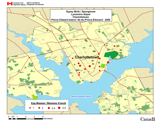 This map shows gypsy moth eggmass survey sites within the city of Charlottetown in 2006.