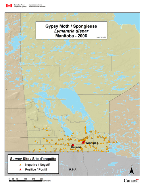 This map shows gypsy moth survey sites within Manitoba in 2006.