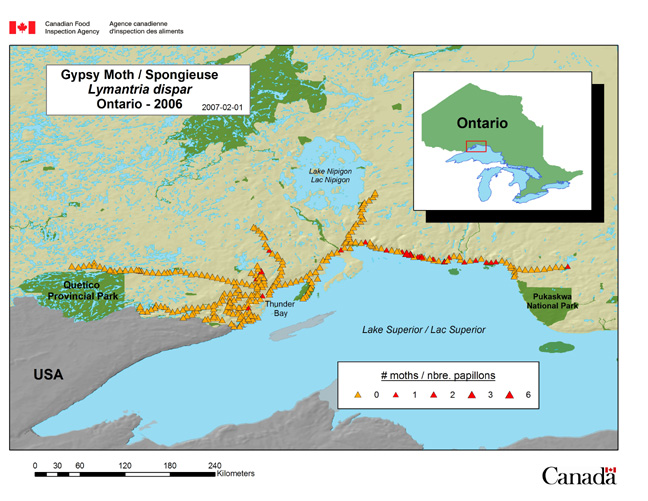 This map shows gypsy moth survey sites in Ontario for 2006.