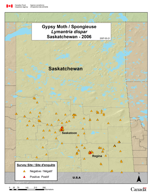This map shows gypsy moth survey sites within in Saskatchewan in 2006.