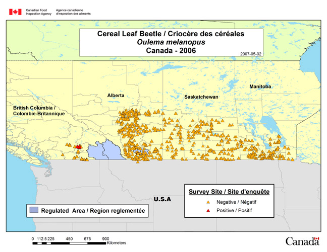 This map shows the 2006 Cereal Leaf Beetle survey sites in Manitoba (42 sites), Saskatchewan (80 sites), Alberta (191 sites) and British Columbia (30 sites).
