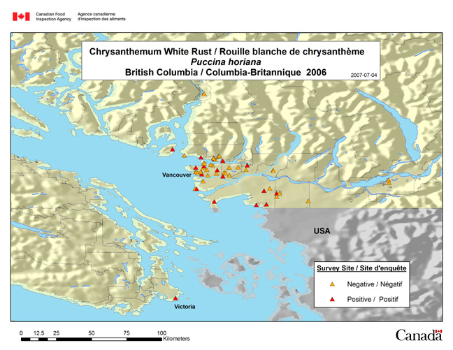 This map shows the visual survey for Puccinia horiana in British Columbia in 2006.