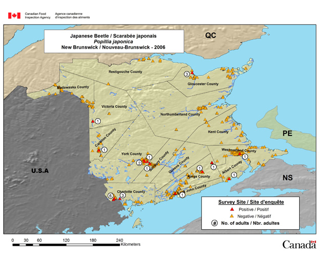 This map shows the 2006 Japanese Beetle detection survey sites in the province of New Brunswick in 2006.