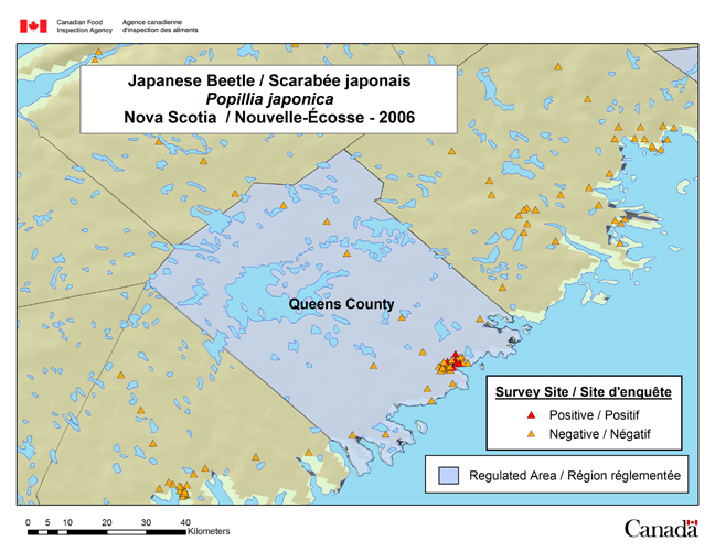 This map shows the 2006 Japanese Beetle detection survey sites in Queens County in the province of Nova Scotia.