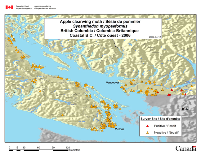 This map shows the Synanthedon myopaeformis survey sites in coastal British Columbia in 2006.