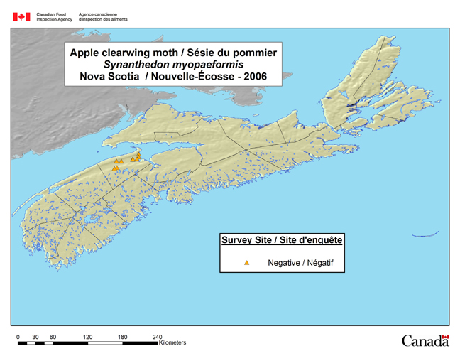 This map shows the Synanthedon myopaeformis survey sites in Nova Scotia in 2006.