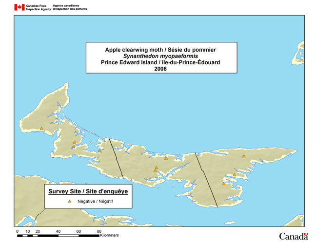This map shows the Synanthedon myopaeformis survey sites in Prince Edward Island in 2006.