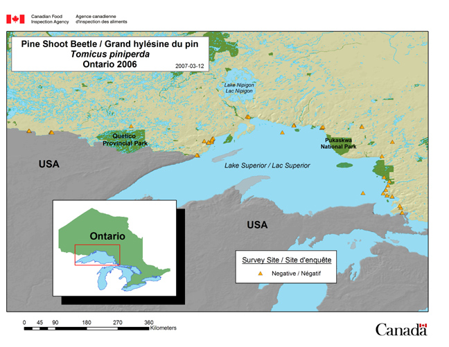 This map shows Tomicus piniperda survey sites in Ontario in 2006.
