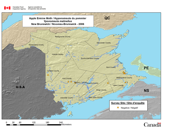This map shows the Yponomeuta malinellus survey sites in New Brunswick in 2006.