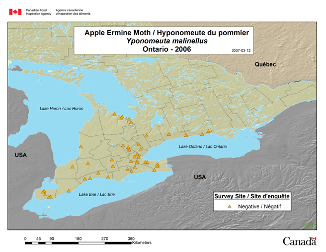 This map shows the Yponomeuta malinellus survey sites in Ontario in 2006.