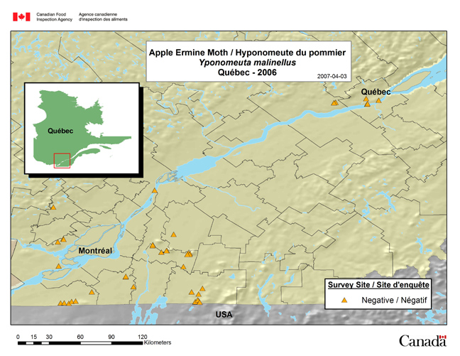 This map shows the Yponomeuta malinellus survey sites in Quebec in 2006.