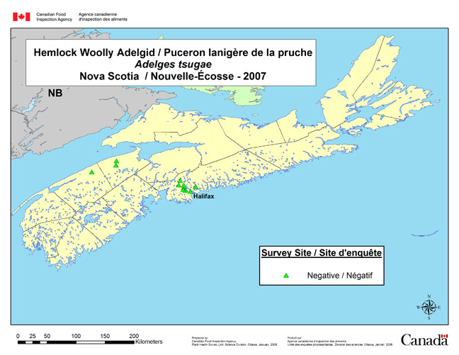 Survey Map for Adelges tsugae, Nova Scotia 2007