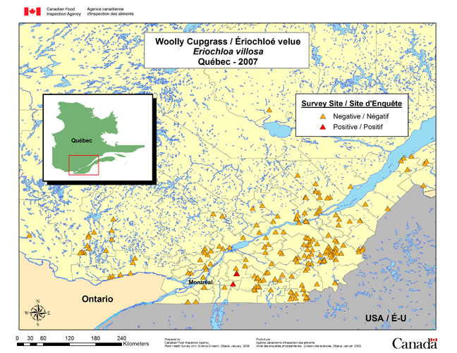Survey Map for Eriochloa villosa, Québec 2007