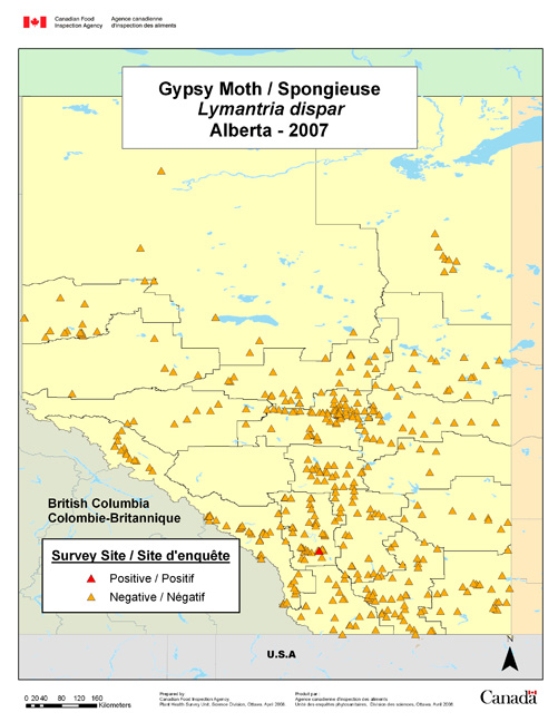 Survey Map for Lymantria dispar, Alberta 2007
