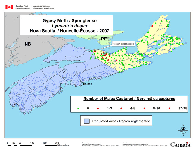 Survey Map for Lymantria dispar, Nova Scotia 2007