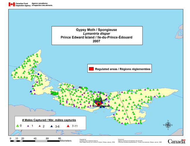 Survey Map for Lymantria dispar, Prince Edward Island 2007