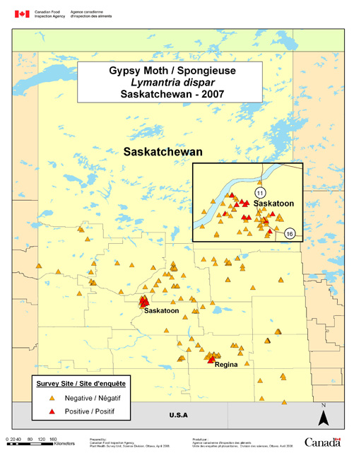 Survey Map for Lymantria dispar, Saskatchewan 2007