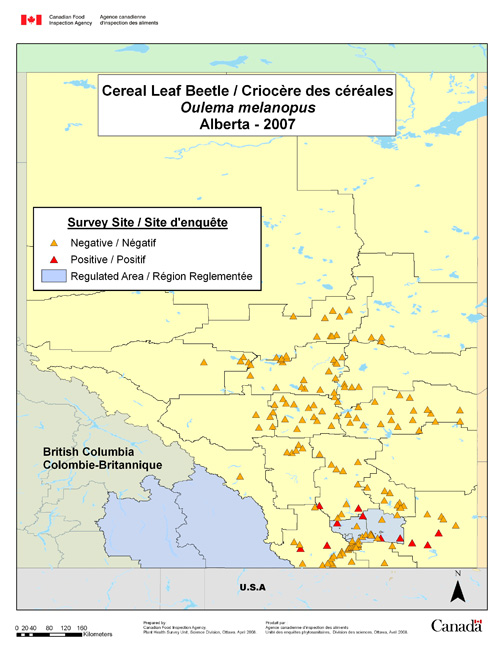Survey Map for Oulema melanopus, Alberta 2007