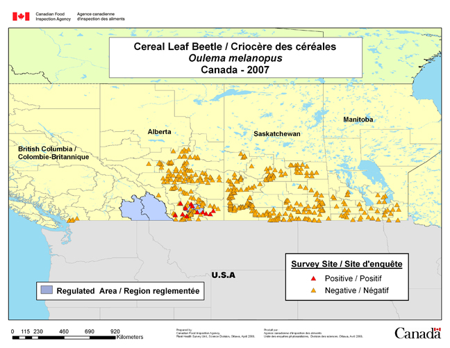 Survey Map for Oulema melanopus, Western Canada 2007