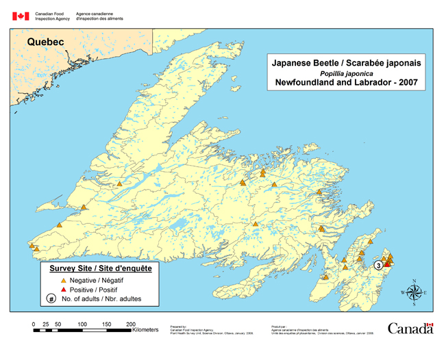 Survey Map for Popillia japonica, Newfoundland 2007