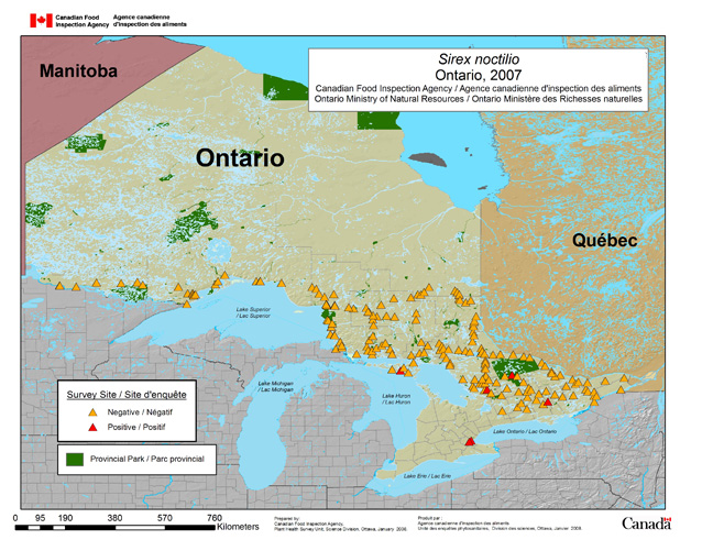 Survey Map for Sirex noctilio, Ontario 2007