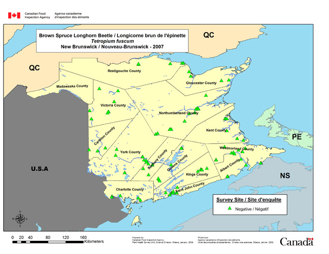 Survey Map for Tetropium fuscum, New Brunswick 2007