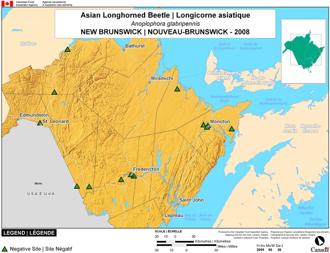 This map shows surveying sites for Asian longhorned bettle in the province of New Brunswick. There were 0 positive locations found in the 14 survey locations.
